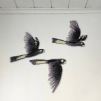 Bridget Farmer | Wall Decorations | Yellow-tailed Black Cockatoos | Set of 3